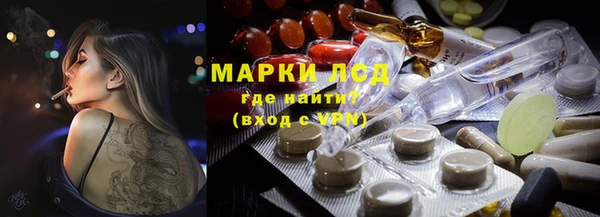 ПСИЛОЦИБИНОВЫЕ ГРИБЫ Медногорск