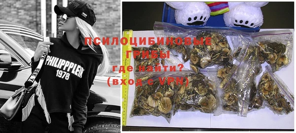 ПСИЛОЦИБИНОВЫЕ ГРИБЫ Медногорск